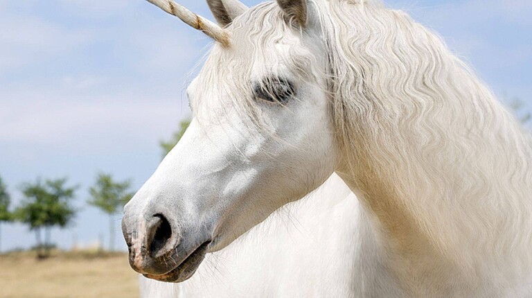 Einhörnerversammlung test 2